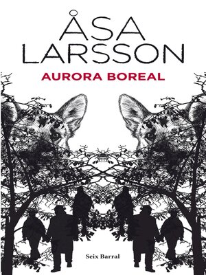 cover image of Aurora boreal